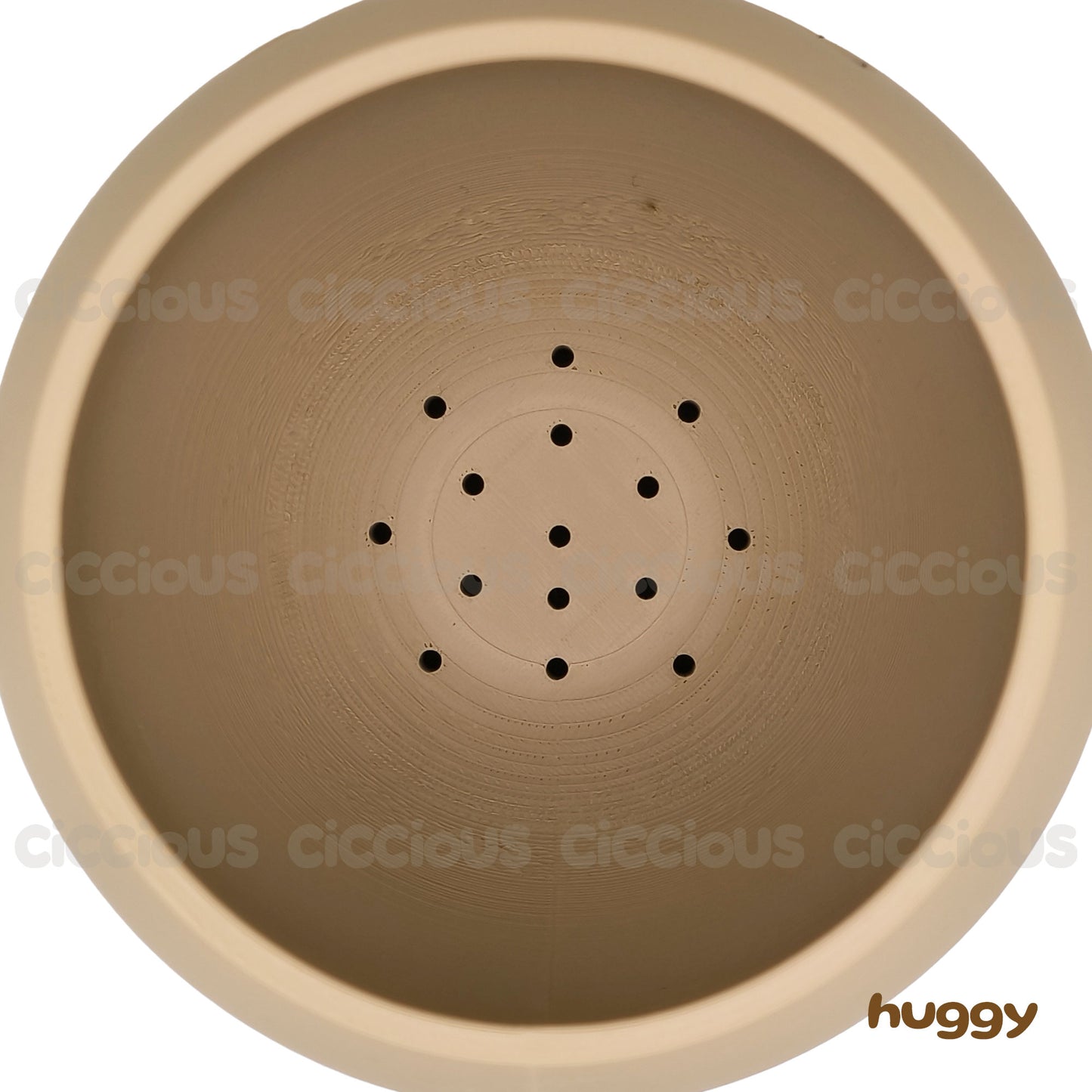 Huggy Ciccious