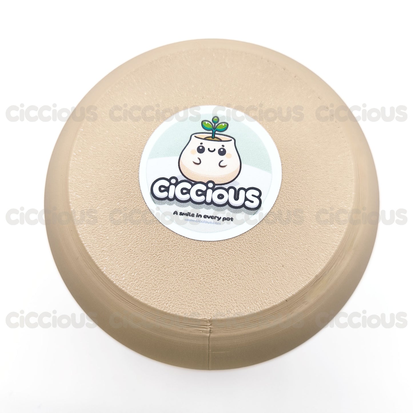 Cuty Ciccious