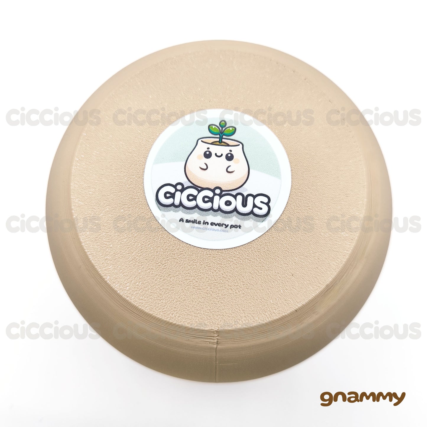 Gnammy Ciccious